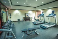 Hampton Inn & Suites Palestine