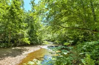 Lyndhurst Cabin on Farm w/ Pond & Stocked Stream! - 3-Star