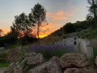 CAL MASSES COME TO DISCONNECT IN THE MIDDLE OF NATURE