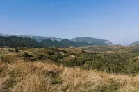 Zen Nest Tiny House Hotels in Moieciu