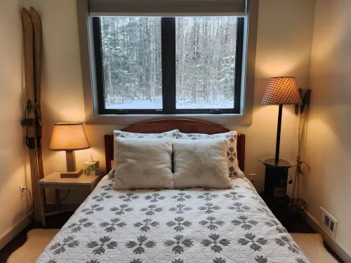 Little house in the woods of Jericho - AC, W/D, Wifi, Patio