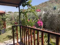 Riviera Bungalow Evleri Demre - Dağ Manzaralı