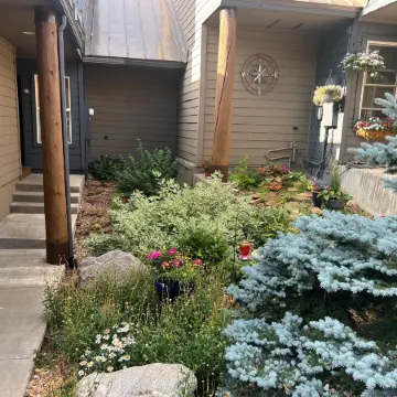 Forest Park 3 Bed 4 Bath Townhome