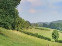 Mansion in Spa Liege with private garden - 홈스테이