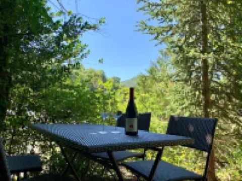 Villa in Saint-Nectaire near Ski Slopes