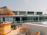 The Hoxton Vienna - Rooftop Pools