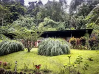 Kuyana Amazon Lodge Hotels in 