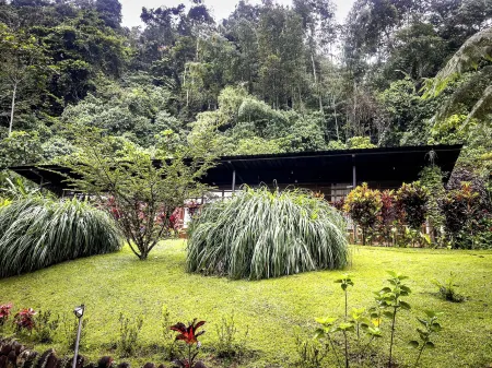 Kuyana Amazon Lodge Отели в г. Арчидона