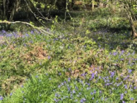 1 Bedroom Apartment Sleeps 2 - Pets Welcome - Tv Hotels in Copthorne