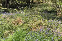 1 Bedroom Apartment Sleeps 2 - Pets Welcome - Tv Hotels in Copthorne