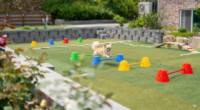 加平滿月愛健游泳池露營地