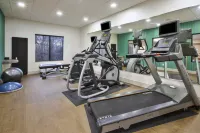 Holiday Inn Express & Suites NILES by IHG - Gym