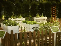 Novotel Gdansk Centrum Hotels in 