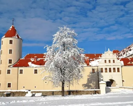 アルトシュタット-ホテル フライブルクのホテル