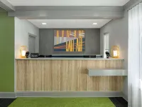 Spark by Hilton Destin