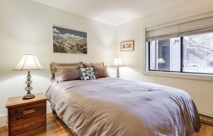 Walk to Sun Valley & Dtwn: Ketchum Condo
