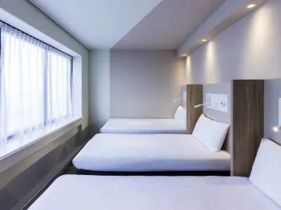 Ibis Budget Amsterdam City South Hotels in 