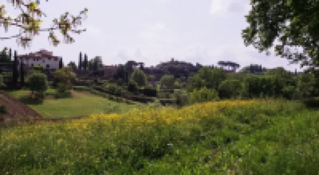 Torrino by Wynwood House