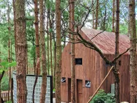 Mo Stay - Forest Resort Hotéis em Dalat