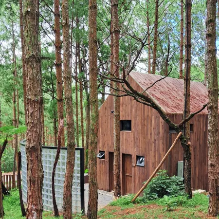Mo Stay - Forest Resort Отели в г. Далат