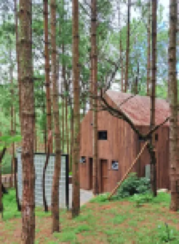 Mo Stay - Forest Resort Hotels in 