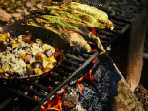 Postcard Cabins Western Catskills Hotels in Colchester