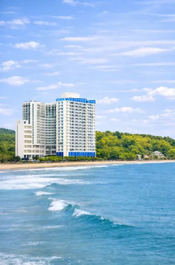 Yangyang Cohost Studio