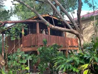 Treetop Beachfront Cabana Hotels in Placencia