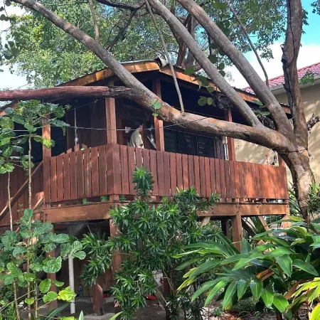 Treetop Beachfront Cabana