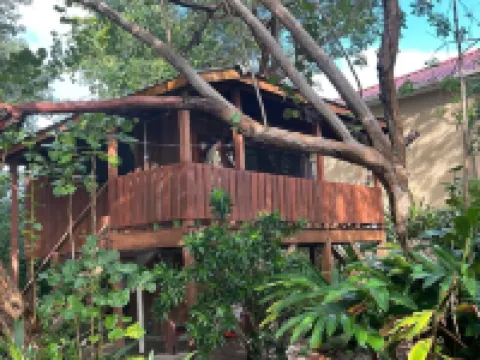 Treetop Beachfront Cabana Hotels in 