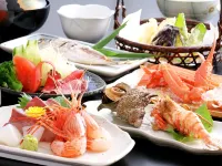 Shiosai Hotels in Kami