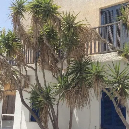 Milos Hotel