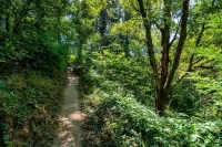 The Octagon by Stay Portland - Multnomah Village - Cruises