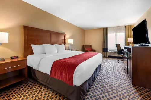 Comfort Inn Joliet West I-80 - Pet friendly