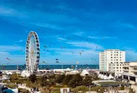 Hôtel le Littoral - Berck Sur Mer - Pet friendly