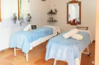 Hotel Cordillera de Los Andes - spa