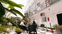Selina Salta - pet friendly
