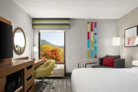 Hampton Inn Roanoke/Hollins-I-81 - Lemmikkieläimet sallittu