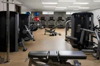 The Westin Ka'Anapali Ocean Resort Villas - Gym