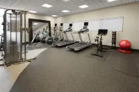 孟菲斯沃爾夫切斯加勒里亞希爾頓花園酒店 - 健身室/gym room