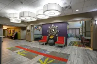 Hampton Inn & Suites Ardmore - Wifi