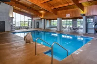 DoubleTree by Hilton Appleton - Wifi