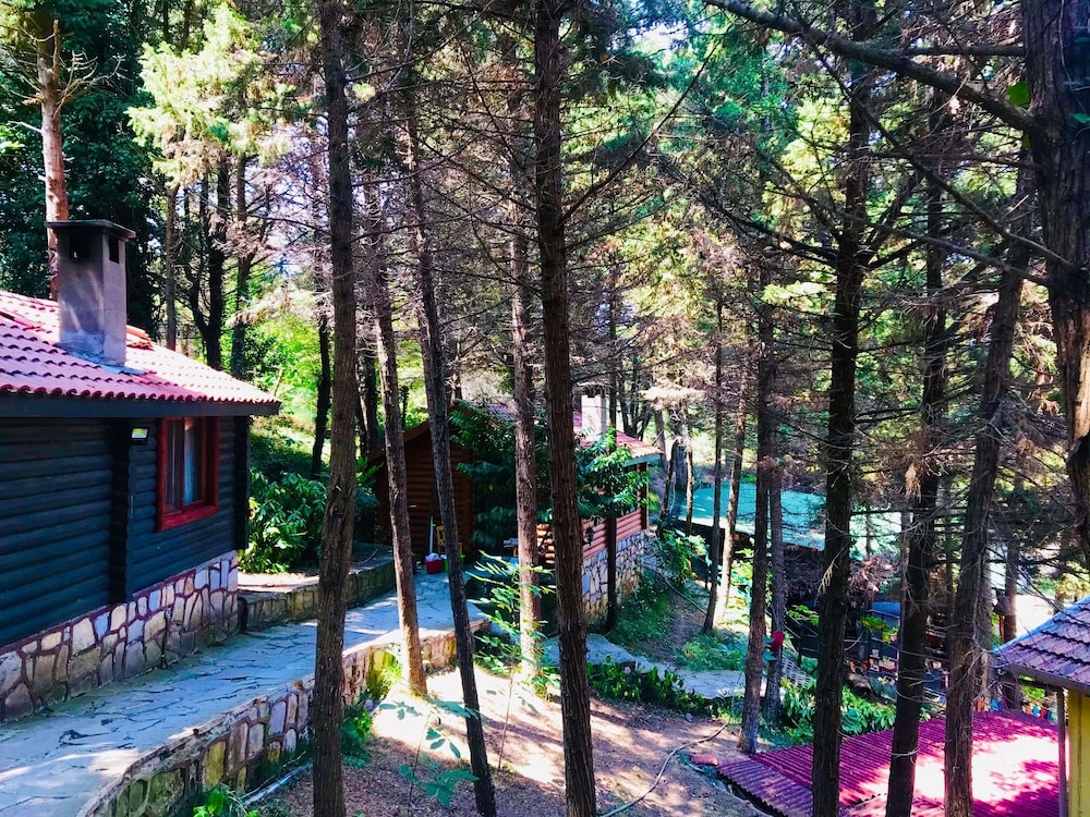 Ağva Orman Evleri Forest Lodge (Agva Orman Evleri Forest Lodge)