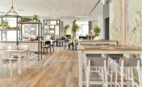 Best Western Plus Hotel Papenburg Hotels in Esterwegen