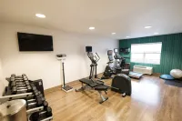 Holiday Inn Express ALPHARETTA - ROSWELL by IHG - Gym