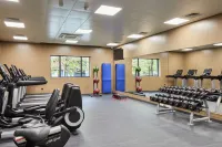 Cardiff Marriott Hotel - Gym