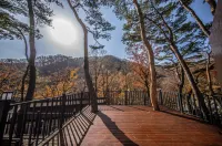 Sancheong Jiri Mountain Stay Forest Pension