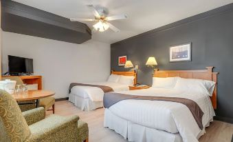 Motel Levis - Housity