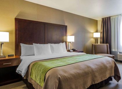 Comfort Inn Kent - Seattle