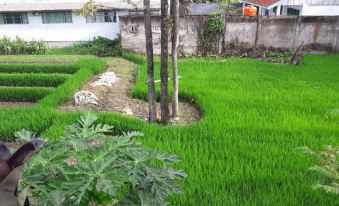 3. BM Resid..